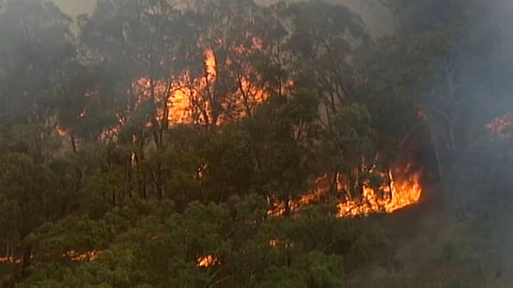 地图显示欧洲将受到澳大利亚灌木丛大火的影响