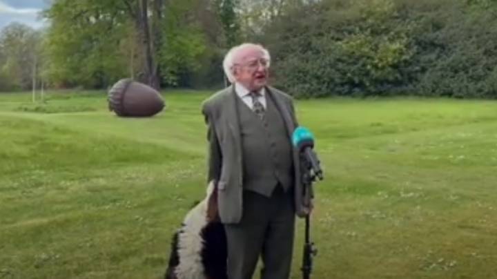 爱尔兰狗狗总统在电视采访中抢尽风头＂width=