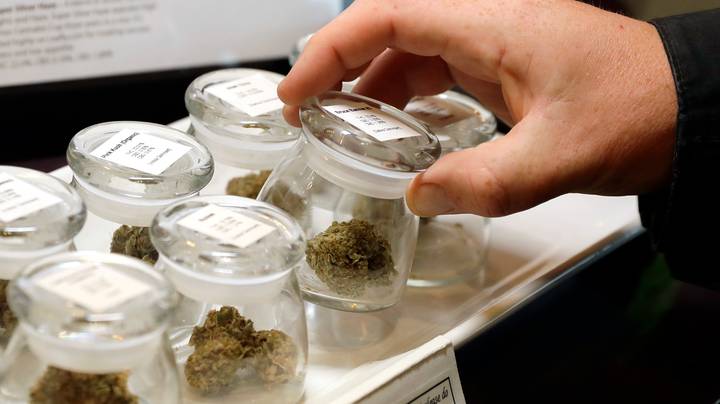 加拿大已经将大麻合法化，这是如何实现的