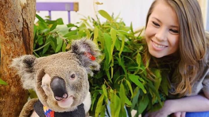 宾迪·欧文（Bindi Irwin