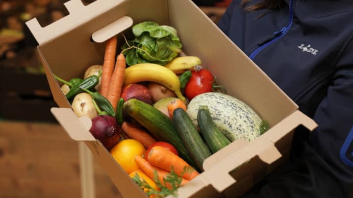 Lidl将以1.50英镑的价格开始出售5公斤损坏的水果和蔬菜