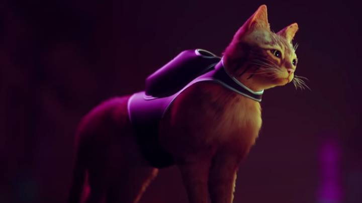 新的PlayStation 5游戏让您用迷你背包扮演神秘溶色的猫