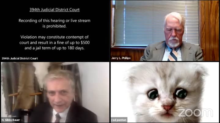 律师在现场法庭听证会上努力删除猫过滤器
