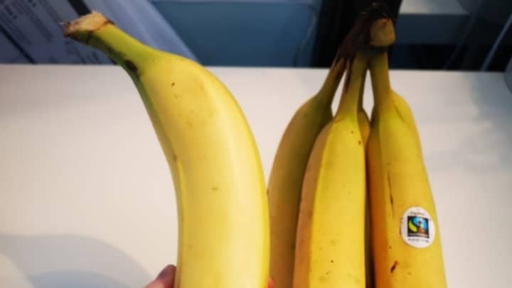 水果爱好者震惊地发现了像她手臂大小的香蕉