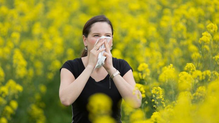 英国春季延迟开始导致花粉热爆发