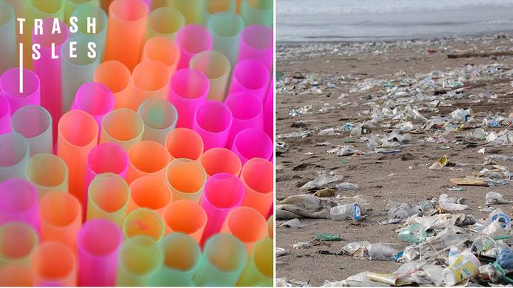 康沃尔郡建议禁止在酒吧的塑料吸管上切割海洋污染