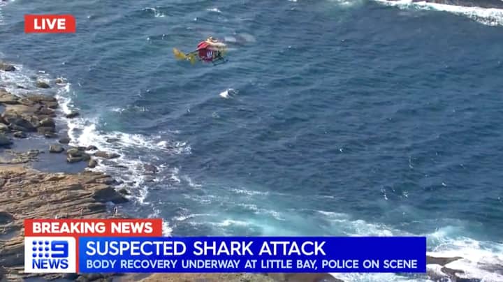 游泳者在悉尼海滩的“灾难性”鲨鱼袭击中丧生