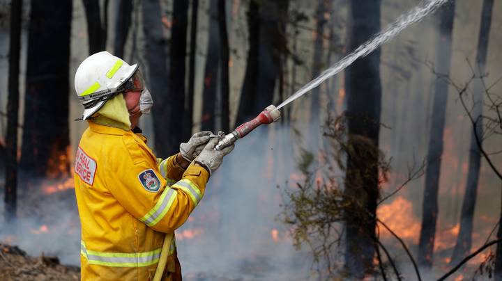 澳大利亚毒贩承诺将10％的利润捐赠给丛林大火危机