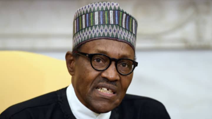 尼日利亚总统说他没有死，被克隆人取代