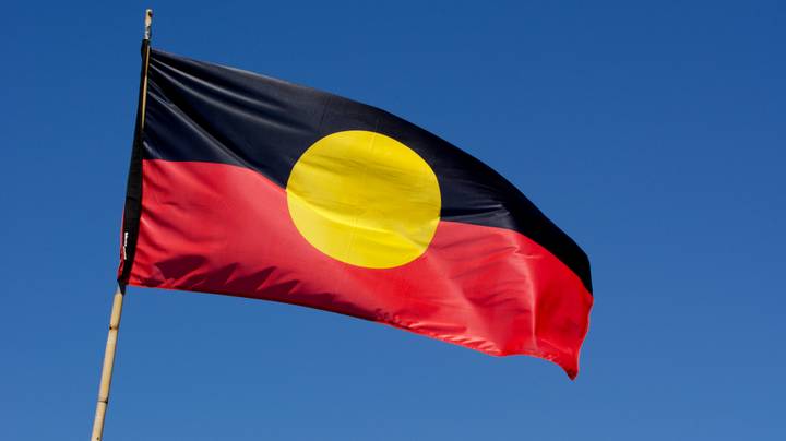 原住民国旗版权将免费获得2000万美元以下的公共使用