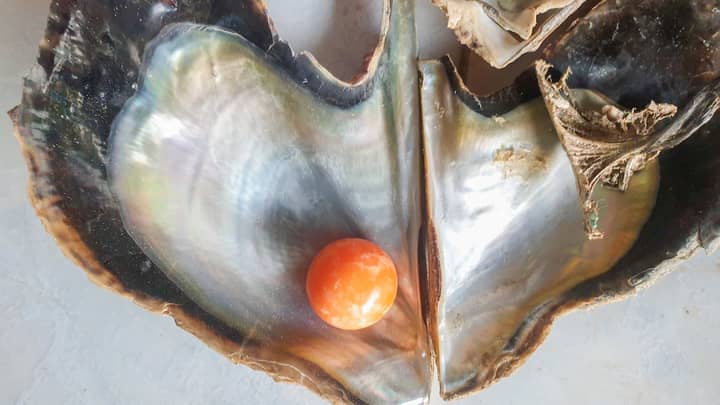 渔夫发现稀有的橙色珍珠价值高达25万英镑“width=