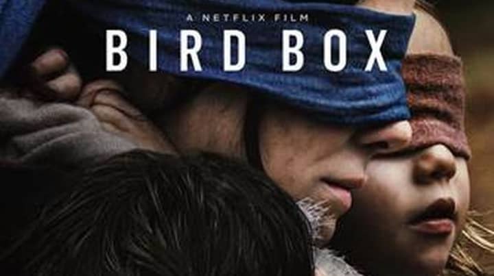 《鸟盒子》打破了Netflix超过4500万次的浏览量记录