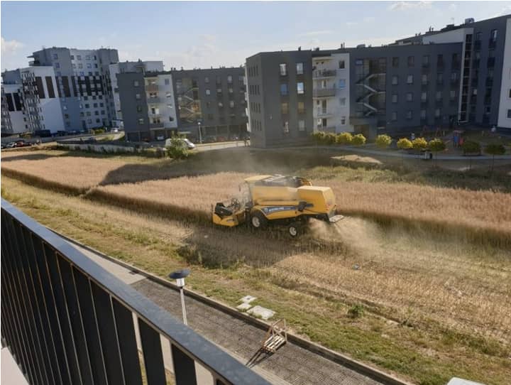 波兰农民拒绝出售被公寓街区包围的土地收获场