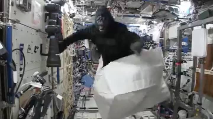 宇航员斯科特·凯利（Scott Kelly）曾经将大猩猩西装带到国际空间站“width=