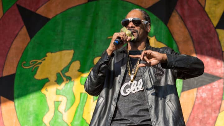 史努比·多格（Snoop Dogg）将在2018年实现惊喜职业发展