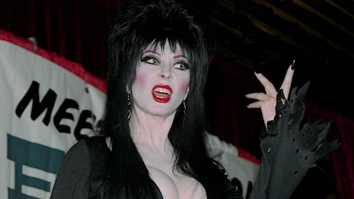 埃尔维拉（Elvira）演员卡桑德拉·彼得森（Cassandra Peterson）担任LGBTQIA+社区的成员“width=
