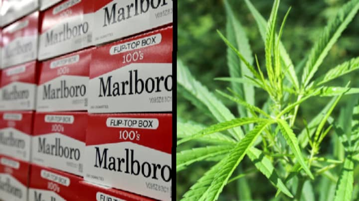 Marlboro Boss在加拿大合法化该药物后，在Marajuana公司投资了数十亿美元