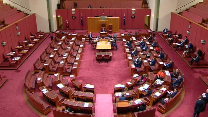 宝琳·汉森（Pauline Hanson）的“所有生命问题”动议在参议院绝对备受惊人